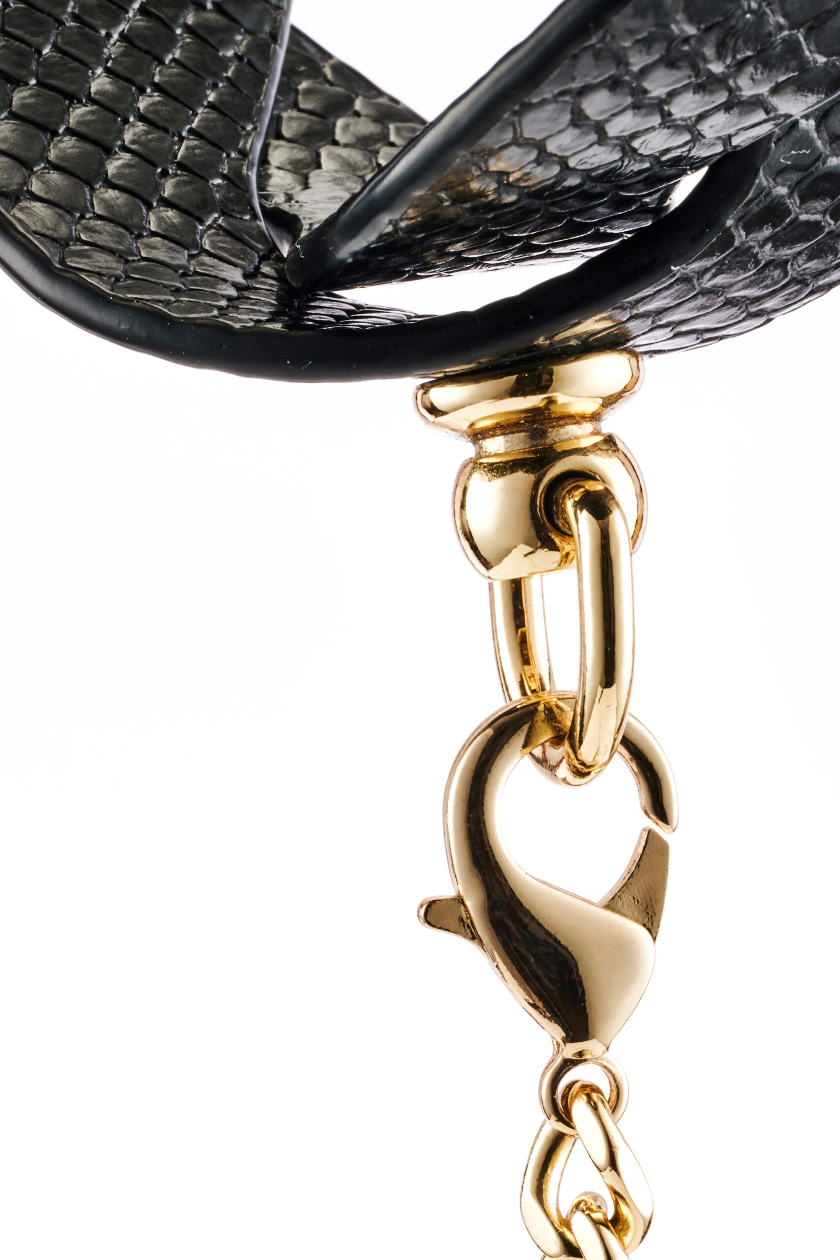 Eclipse braided leash and collar